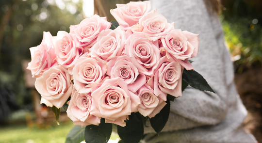 Rose Farmers deal banner