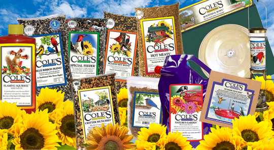 Cole's The Better Wild Bird Feed deal banner
