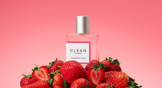 deal banner image_8